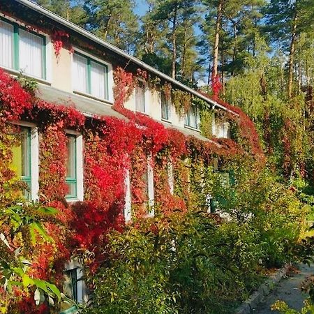 Pension Zur Fledermaus Варен Екстер'єр фото